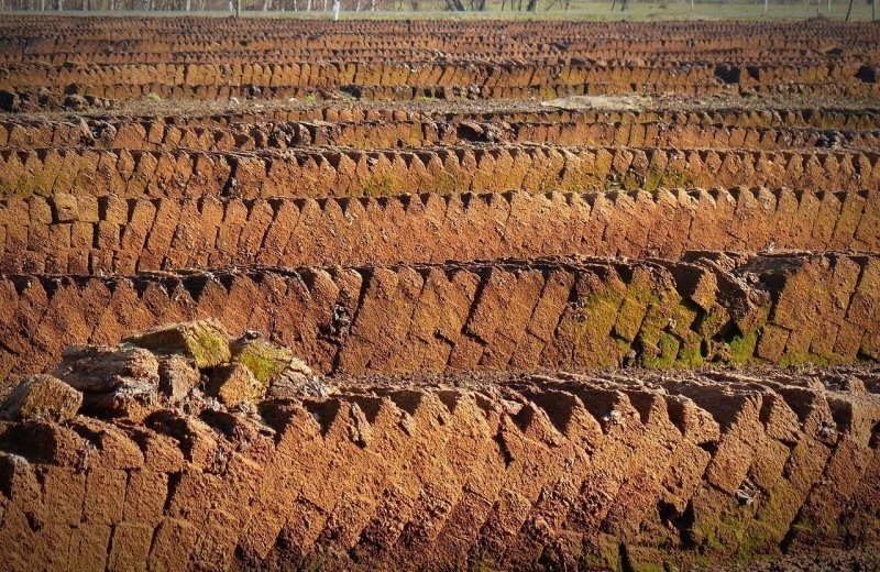 Groningse en Drentse Veenkoloniën